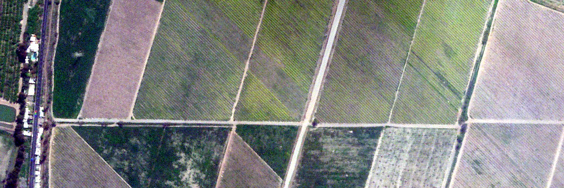 Viñedos del Valle del Maipo vistos a 1 metro de resolución
