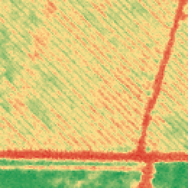 El mismo zoom en NDVI: vigor por hilera